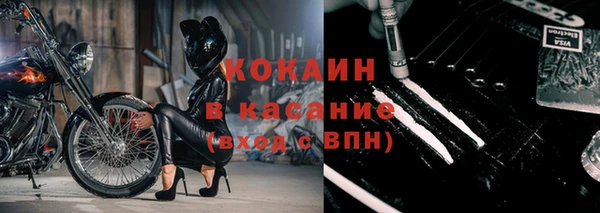 стафф Алексин