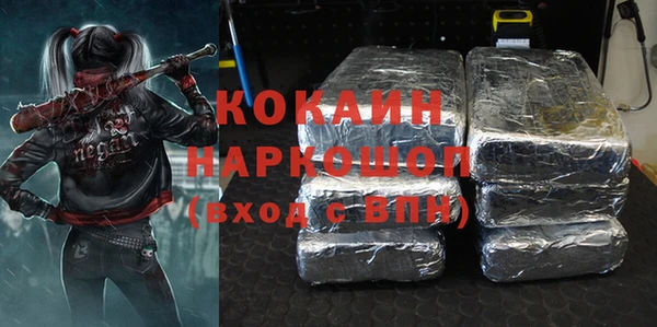 стафф Алексин