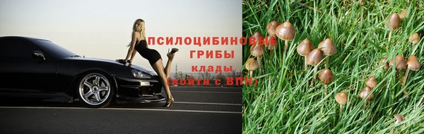 стафф Алексин
