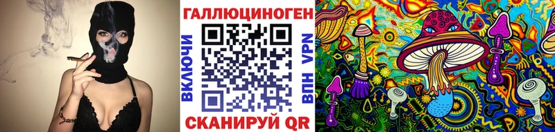 гидра ссылки Порхов Галлюциногенные грибы Psilocybine cubensis